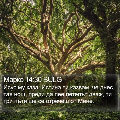 Марко 14:30 BULG Bible Verse Image