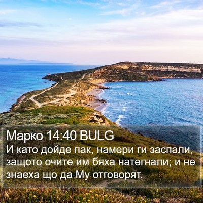 Марко 14:40 BULG Bible Verse Image