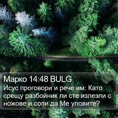Марко 14:48 BULG Bible Verse Image