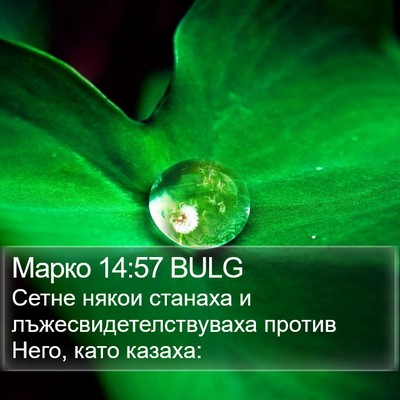 Марко 14:57 BULG Bible Verse Image