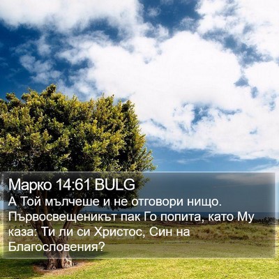 Марко 14:61 BULG Bible Verse Image