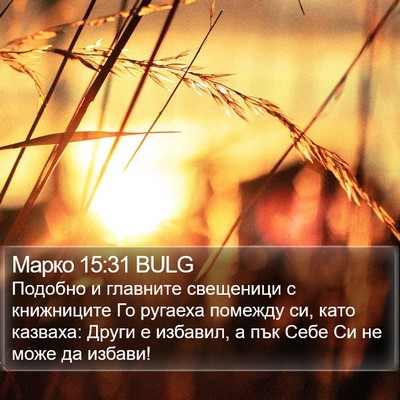 Марко 15:31 BULG Bible Verse Image