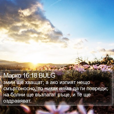 Марко 16:18 BULG Bible Verse Image