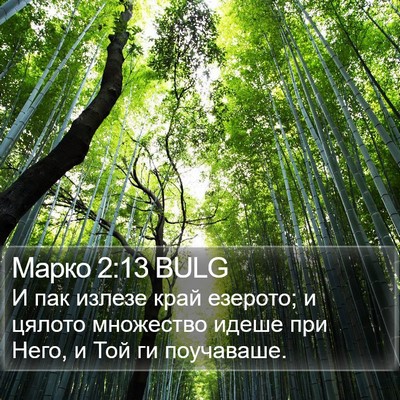 Марко 2:13 BULG Bible Verse Image