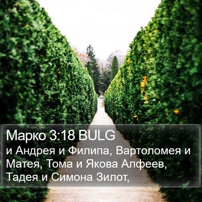 Марко 3:18 BULG Bible Verse Image
