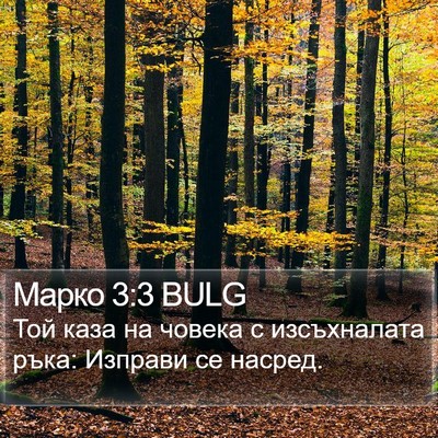 Марко 3:3 BULG Bible Verse Image