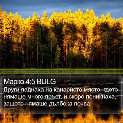 Марко 4:5 BULG Bible Verse Image