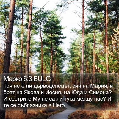 Марко 6:3 BULG Bible Verse Image