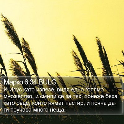 Марко 6:34 BULG Bible Verse Image