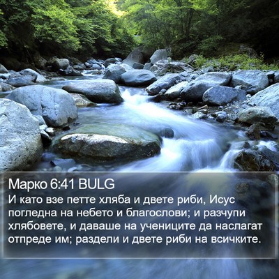 Марко 6:41 BULG Bible Verse Image