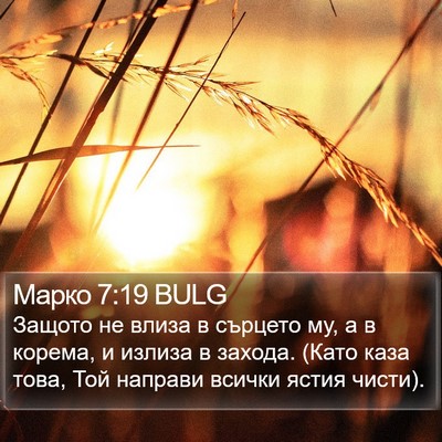Марко 7:19 BULG Bible Verse Image