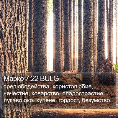 Марко 7:22 BULG Bible Verse Image