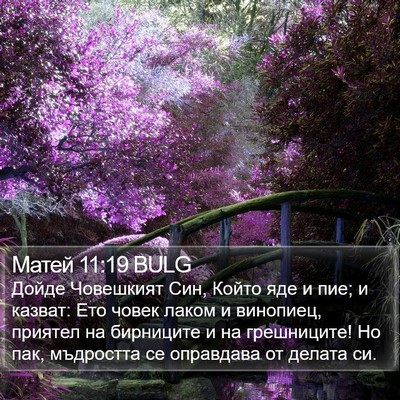 Матей 11:19 BULG Bible Verse Image
