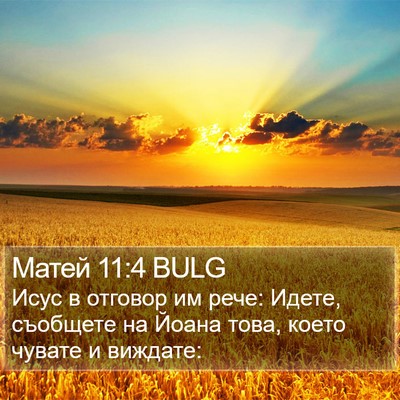 Матей 11:4 BULG Bible Verse Image