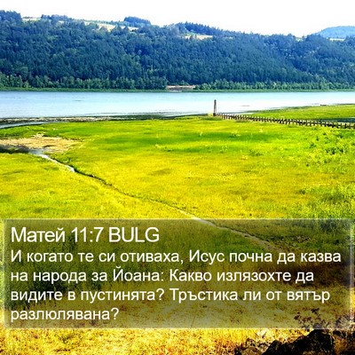 Матей 11:7 BULG Bible Verse Image
