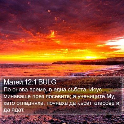 Матей 12:1 BULG Bible Verse Image