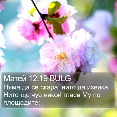 Матей 12:19 BULG Bible Verse Image