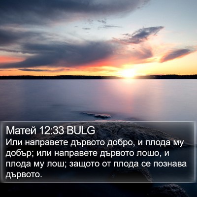 Матей 12:33 BULG Bible Verse Image