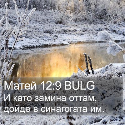 Матей 12:9 BULG Bible Verse Image