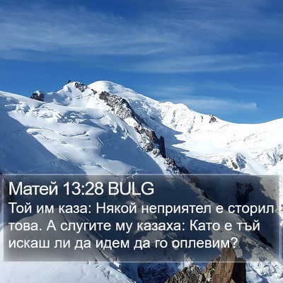 Матей 13:28 BULG Bible Verse Image