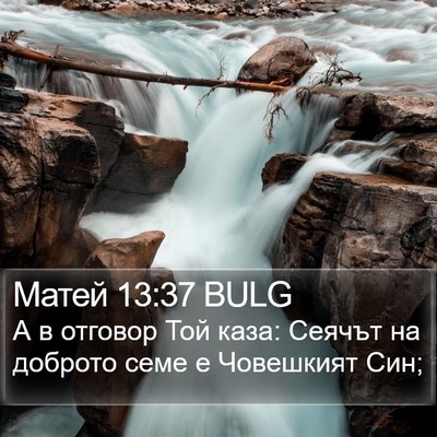 Матей 13:37 BULG Bible Verse Image