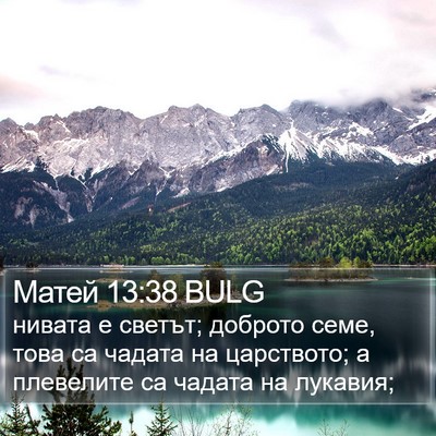 Матей 13:38 BULG Bible Verse Image