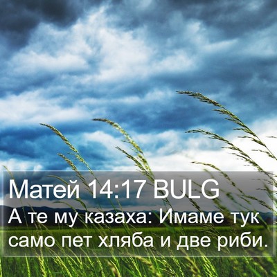 Матей 14:17 BULG Bible Verse Image