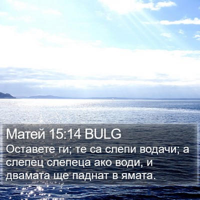Матей 15:14 BULG Bible Verse Image