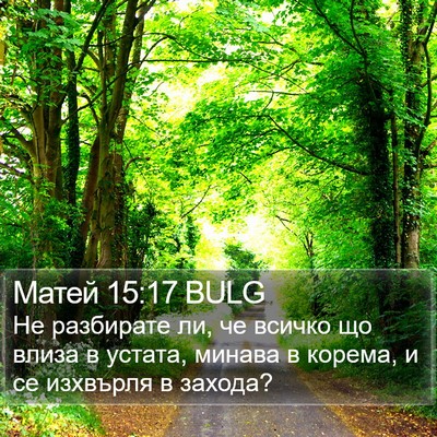 Матей 15:17 BULG Bible Verse Image
