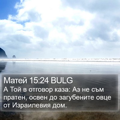 Матей 15:24 BULG Bible Verse Image