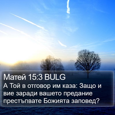 Матей 15:3 BULG Bible Verse Image