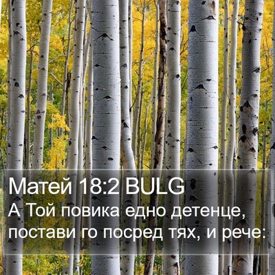 Матей 18:2 BULG Bible Verse Image
