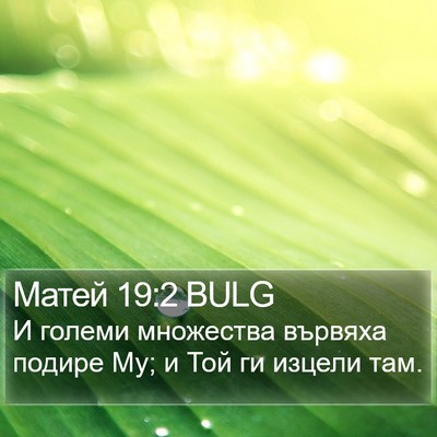 Матей 19:2 BULG Bible Verse Image