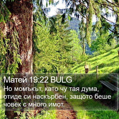 Матей 19:22 BULG Bible Verse Image