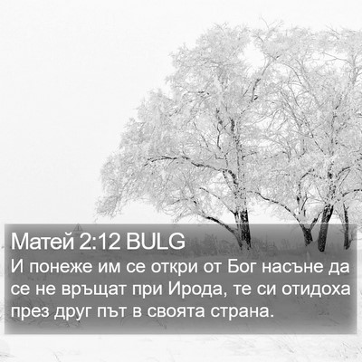 Матей 2:12 BULG Bible Verse Image
