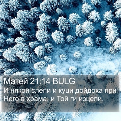 Матей 21:14 BULG Bible Verse Image