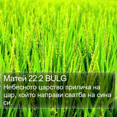 Матей 22:2 BULG Bible Verse Image