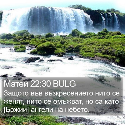 Матей 22:30 BULG Bible Verse Image