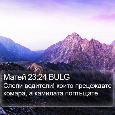 Матей 23:24 BULG Bible Verse Image