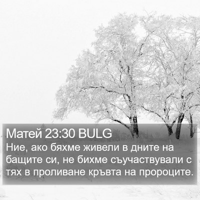 Матей 23:30 BULG Bible Verse Image