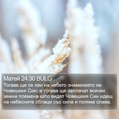 Матей 24:30 BULG Bible Verse Image