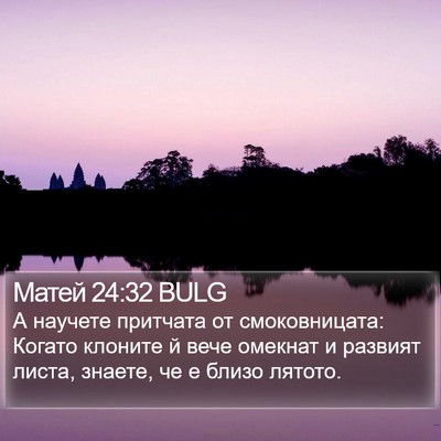 Матей 24:32 BULG Bible Verse Image