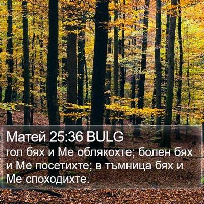 Матей 25:36 BULG Bible Verse Image