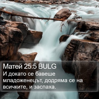 Матей 25:5 BULG Bible Verse Image