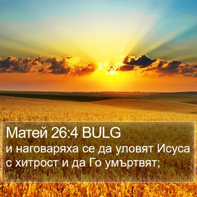 Матей 26:4 BULG Bible Verse Image