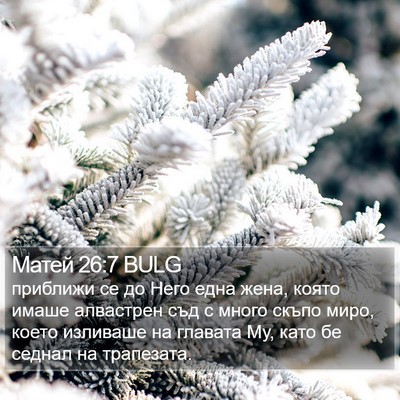 Матей 26:7 BULG Bible Verse Image