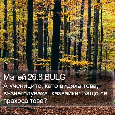 Матей 26:8 BULG Bible Verse Image