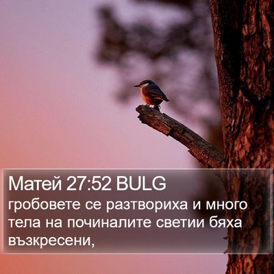 Матей 27:52 BULG Bible Verse Image