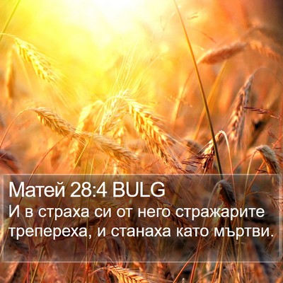 Матей 28:4 BULG Bible Verse Image