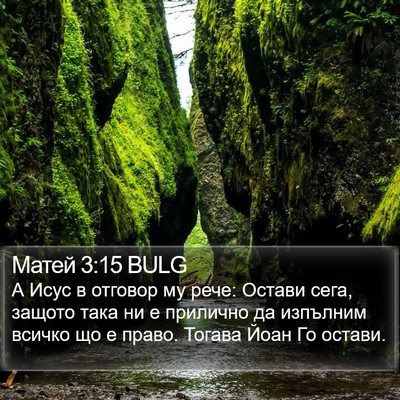 Матей 3:15 BULG Bible Verse Image
